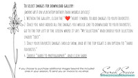 0-SSP Mini Info